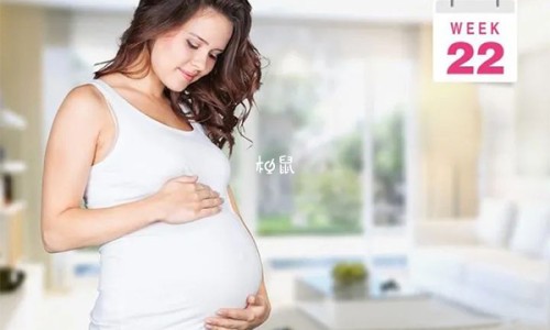 减肥吃什么食物-4星级减肥食物网—知名的减肥适合吃的食物网站,分享减肥食物排行榜前十名知识