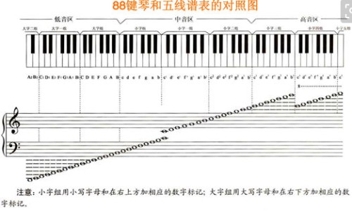 减肥吃什么食物-4星级减肥食物网—知名的减肥适合吃的食物网站,分享减肥食物排行榜前十名知识
