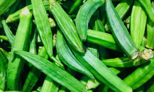 吃食物减肥-4星级减肥食物网—知名的减肥适合吃的食物网站,分享减肥食物排行榜前十名知识